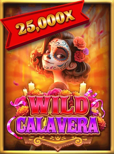 40bet